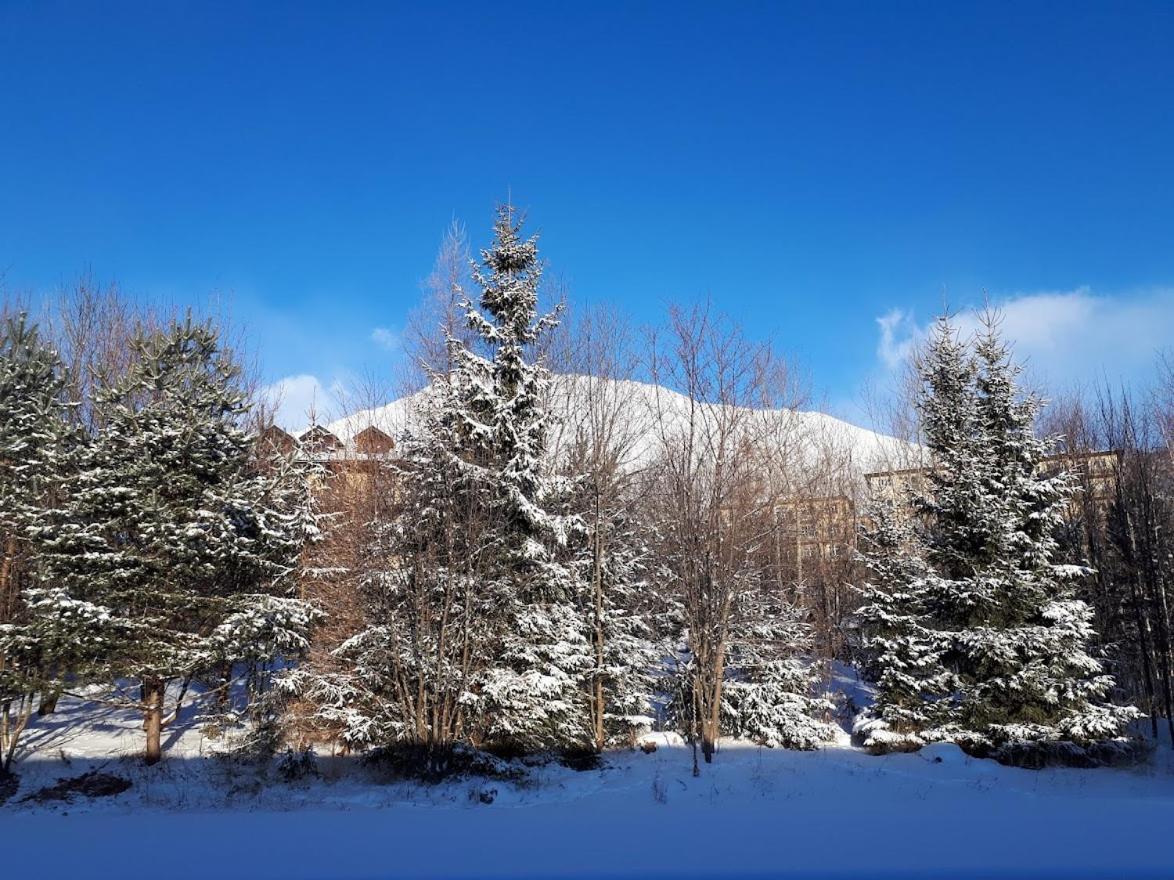 Apartman Mariana Vysoké Tatry Buitenkant foto