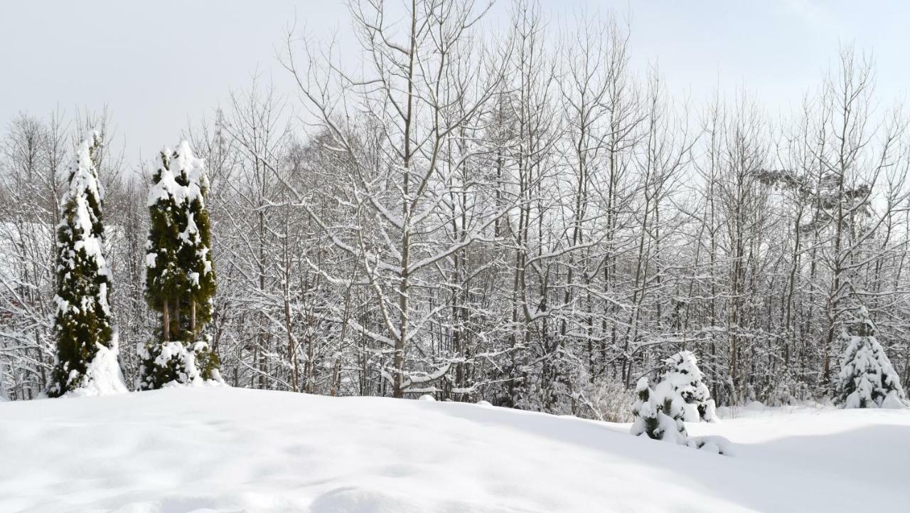 Apartman Mariana Vysoké Tatry Buitenkant foto